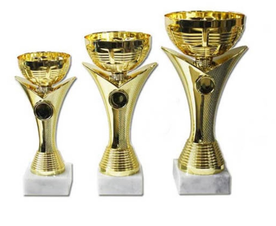 סט גביע הוקרה – 442209